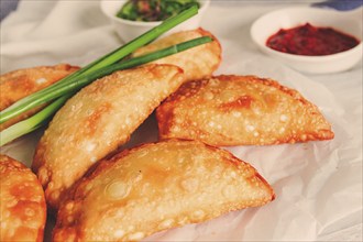 Fried chebureks, close-up, on a light background, no people