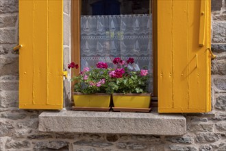 Window with yellow shutters and yellow flower pots, Treguier, Département Côtes-d'Armor, Brittany,