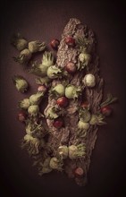 Fresh, green hazelnuts, close-up, on the bark of a walnut tree, uncleaned, top view, rustic, no