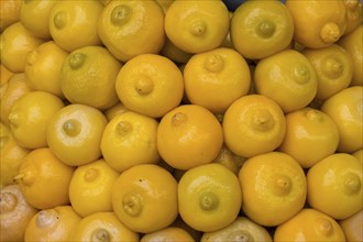 Moroccan-style pickled lemons, salted lemons, Medina Essaouira, Morocco, Africa