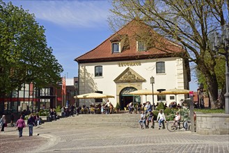 Europe, Germany, Lower Saxony, Stade, Hamburg metropolitan region, Hanseatic city, Old Town, Horse