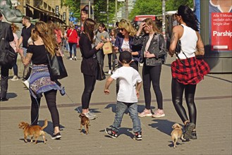 Germany, Hamburg, City, Mönckebergstraße, Two young woman and boy with three small dogs, Europe