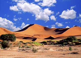 Sand dunes, Namibia, Sossusvlei, Sossusvlei, Namibia, Africa