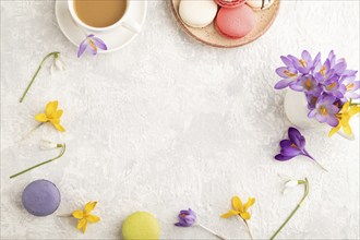 Mockup with spring snowdrop crocus flowers and multicolored macaroons on gray concrete background.