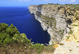 Coastal clifftop landscape view westwards at Ta' Cenc cliffs, island of Gozo, Malta, Europe