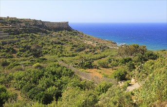 Coastal scenery San Blas bay, island of Gozo, Malta, Europe