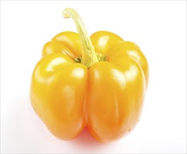 One yellow sweet pepper isolated on white background. closeup