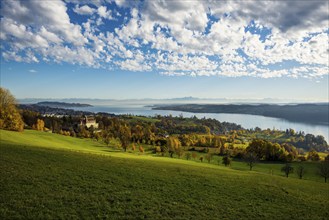 View over Lake Constance in autumn, Spetzgart Castle in front, Alpine chain behind, near