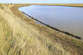 Landscape at high tide Barthorp's Creek, Hollesley Bay, near Shingle Street, Suffolk, England, UK