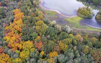 Mixed forest in autumn, colouring, aerial view, forest, autumnal, Ahlhroner Fischteiche,