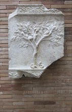 Marble tree with birds and serpent, Museo Nacional de Arte Romano, national museum of Roman art,