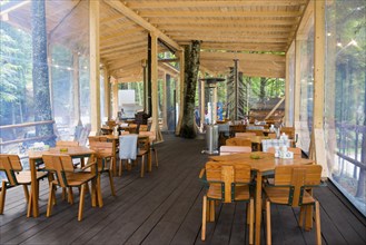 Restaurant with wooden furniture surrounded by peaceful forest and glass walls, Transfagarasan Tree