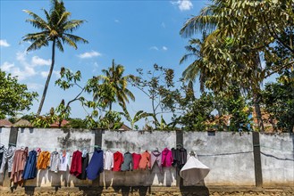 Laundry drying in the sun on a backyard, clothesline, traditional, tradition, drying, sun, wind,