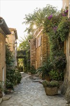 Bormes-les-Mimosas, Département Var, Provence-Alpes-Côte d'Azur, South of France, France, Europe