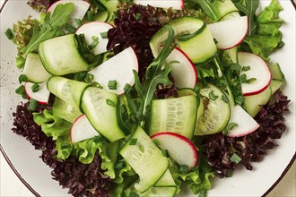 Vegetable salad, radishes and cucumbers, radish micro-greens, lettuce leaves, green onions,