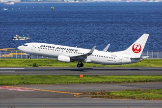 A Boeing 737-800 aircraft of Japan Airlines JAL with the registration JA338J at Tokyo Haneda