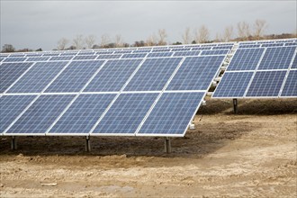 Solar array of photovoltaic panels in a large new solar park at Bucklesham, Suffolk, England,