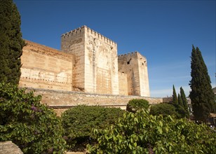 Fortified walls of the Alcazaba castle in the Alhambra complex, Granada, Spain, Europe