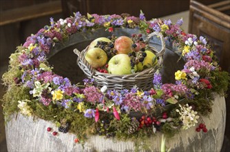 Apples fruit blackberries flowers, Harvest Festival decoration, Milston church, Wiltshire, England,