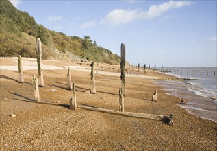 Old broken and abandoned wooden groynes on shingle beach, Bawdsey, Suffolk, England, United