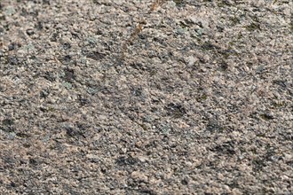 Texture of a boulder with moss and lichen