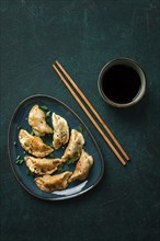 Japanese Gyoza dumplings, fried, with sauce, on a green background, top view, no people, toned,