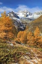 Swiss Alps, Obergabelhorn, 4063 m, Valais, Switzerland, Europe