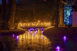 It's the most beautiful time of the year when the sparkling evening trail finally lights up