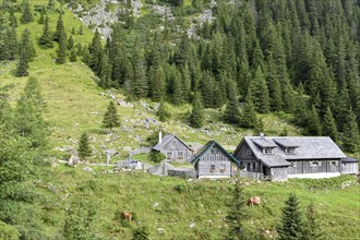 The alpine huts of the Kaltenbachalm on the Sölk Pass, Sölktal, Niedere Tauern, Styria, Austria,