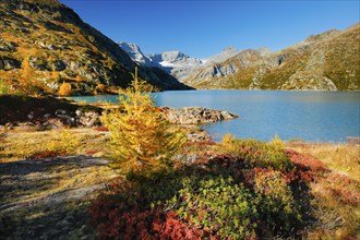 Autumn colours at Lac d'Emosson in the Valais mountains, Switzerland, Europe