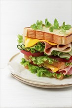 Club sandwich, on a white table, close-up, no people, horizontal, homemade