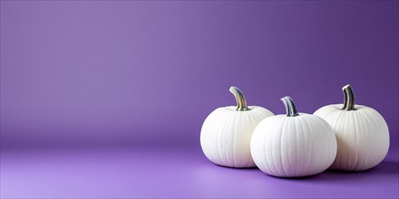 Banner with three white pumpkins on violet background with copy space. Generative Ai, AI generated