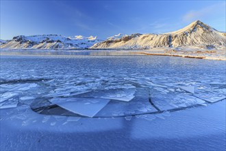 Ice floes on a lake in front of snowy mountains, sun, evening light, snow, winter, Snaefellsnes,