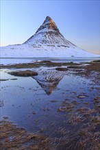 Pointed mountain reflected in fjord at low tide, snow, winter, morning light, Kirkjufell,