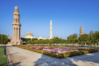 Sultan Qaboos Grand Mosque, blooming flowers in gardens, Muscat, Oman, Asia