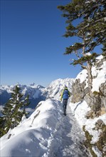 Mountaineers on the way to the Jenner summit with snow, snowy mountain panorama with Watzmann