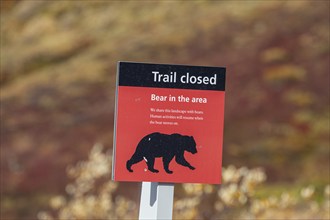 Warning sign for bear encounters, Denali National Park, Alaska, USA, North America