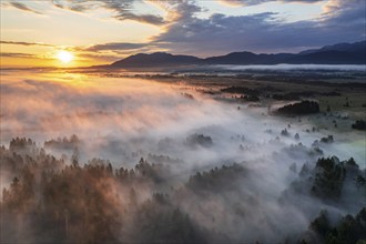 Aerial view of trees and moorland in front of mountains in morning light, fog, summer, view of