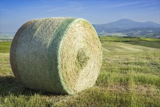 Harvested wheat field with bales of straw, landscape around Pienza, Val d'Orcia, Orcia Valley,