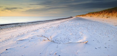 Pristine white beach with pebbles and dunes at Darßer Ort in the evening light, Weststrand, Darß