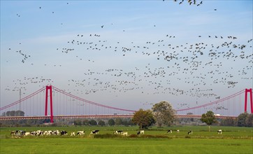 The Rhine bridge Emmerich, federal road B220, longest suspension bridge in Germany, is currently