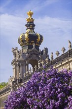 The lilacs bloom magnificently at the Zwinger moat, Dresden, Saxony, Germany, Europe