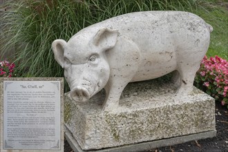 Information about the pig figure, symbolising the rescue of the town of Nördlingen in 1440,