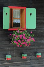 The flower colored window of an alpine house, Fusine Lakes, Friuli Venezia Giulia, Italy, Europe