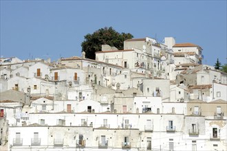 The typical white houses of the mountain village of Monte Sant Angelo, Puglia, Italy, Europe