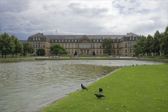 Castle pond in Stuttgart, municipal park, park, raven crow, new castle, Germany, Europe