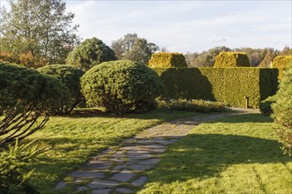 Cottage garden with green lawn, trees, hedges, trimmed bushes and large mountain pines. Modern