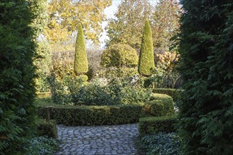 Cottage garden with topiary, hedges, trimmed bushes. Modern landscape design