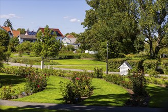 Rose garden, Bad Langensalza, Thuringia, Germany, Europe