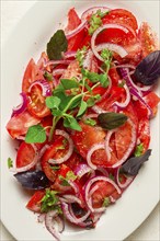 Fresh tomato salad, with red onion, spices and herbs, top view, close-up, homemade